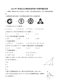 2024年广东省汕头市澄海实验学校中考数学模拟试卷（含解析）