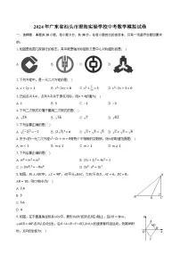 2024年广东省汕头市澄海实验学校中考数学模拟试卷（含解析）