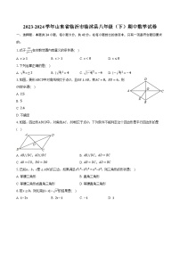 2023-2024学年山东省临沂市临沭县八年级（下）期中数学试卷（含解析）