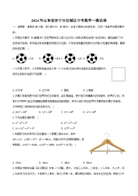 2024年山东省济宁市任城区中考数学一模试卷（含解析）