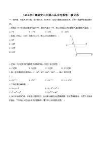 2024年云南省文山州砚山县中考数学一模试卷（含解析）