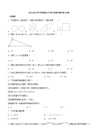 2023-2024学年苏科版七年级下册数学期中复习试卷（无答案）