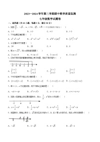 安徽省合肥市包河区2023-2024学年七年级下学期期中数学试题(无答案)