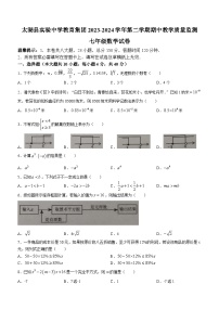 安徽省安庆市太湖县实验中学教育集团2023-2024学年七年级下学期期中数学试题(无答案)