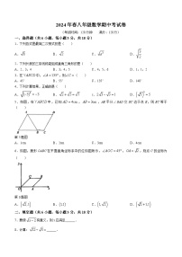 江西省赣州市会昌县2023-2024学年八年级下学期期中数学试题(无答案)