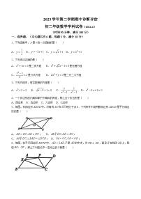 上海市金山区2023-2024学年八年级下学期期中数学试题(无答案)