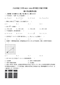 安徽省六安市轻工中学2023-2024学年八年级下学期期中数学试题(无答案)