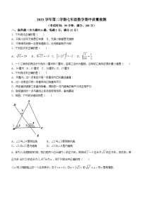 上海市浦东新区2023-2024学年七年级下学期期中数学试题(无答案)