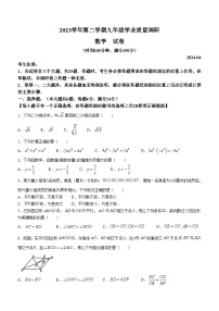 2024年上海市青浦区中考二模数学试题(无答案)
