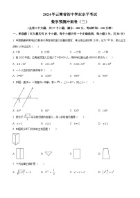 2024年云南省初中学业水平考试数学模拟预测题(三)（原卷版+解析版）