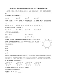 2023-2024学年上海市青浦区八年级（下）期中数学试卷（含解析）