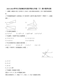 2023-2024学年江苏省南京外国语学校七年级（下）期中数学试卷(含解析）