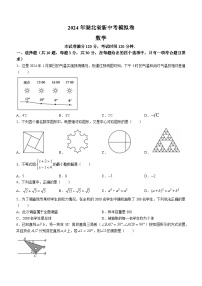 2024年湖北省十堰市实验中学中考一模数学试题