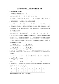 2024年山东省枣庄市台儿庄区数学中考模拟试卷（含答案）