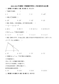 江苏省南京市栖霞区南京师范大学附属中学仙林学校初中部2023-2024学年九年级下学期3月月考数学试题（原卷版+解析版）