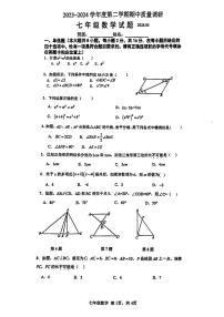 山东省青岛市市北区2023~2024学年下学期期中质量调研七年级数学试题