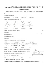 2023-2024学年江苏省南京市鼓楼区育英外国语学校七年级（下）期中数学模拟试卷(含解析）