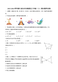 2023-2024学年浙江省台州市路桥区八年级（上）期末数学试卷(含解析）