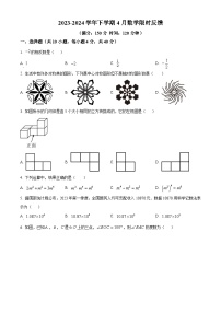 福建省厦门市双十校友培训中心2023-2024学年九年级下学期月考数学试题（解析版+原卷版）