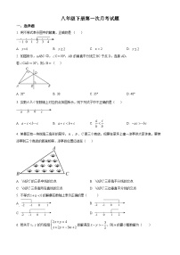 山东省青岛市胶州市洋河中学2023-2024学年八年级下学期3月月考数学试题（解析版+原卷版）