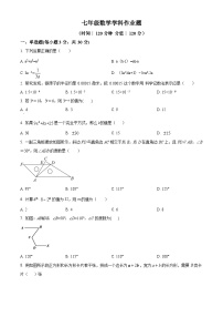 山东省枣庄市峄城区第二十八中学2023-2024学年七年级下学期4月月考数学试题（原卷版+解析版）