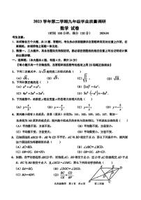 2024上海市青浦区初三二模数学试卷附答案和评分标准