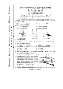 河南省驻马店市确山县2023-2024学年七年级下学期4月期中数学试题