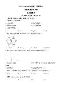 安徽省芜湖市2023-2024学年七年级下学期期中数学试题（原卷版+解析版）