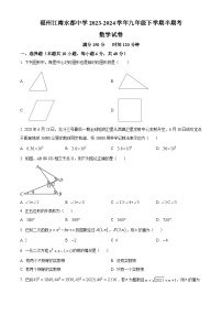 福建省福州市仓山区福州江南水都中学2023-2024学年九年级下学期期中数学试题（原卷版+解析版）