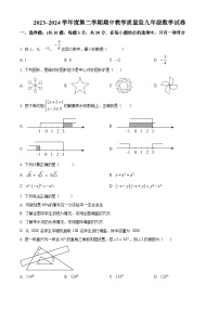 湖北省黄冈市麻城市2023-2024学年九年级下学期期中数学试题（原卷版+解析版）