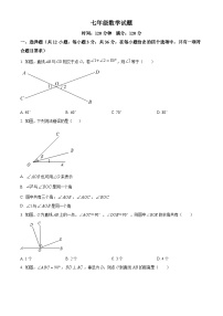 山东省聊城市临清市唐元镇联校李管寨中心校2023-2024学年七年级下学期4月月考数学试题（原卷版+解析版）