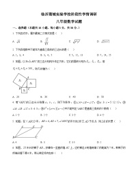 山东省临沂市临沂商城实验学校2023-2024学年八年级下学期月考数学试题（原卷版+解析版）