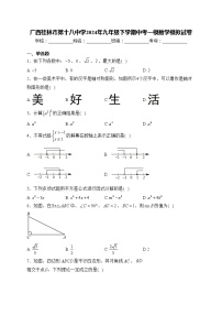 广西桂林市第十八中学2024年九年级下学期中考一模数学模拟试卷(含答案)