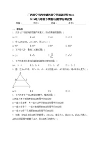 广西南宁市西乡塘区南宁外国语学校2023-2024年八年级下学期3月数学月考试卷(含答案)