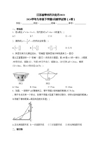 江苏省泰州市兴化市2023-2024学年九年级下学期3月数学试卷（A卷）(含答案)