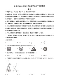 2024年广东省江门市台山市中考模拟数学试题（原卷版+解析版）