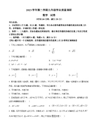 2024年上海市青浦区中考二模数学试题（原卷版+解析版）