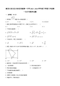 黑龙江省绥化市安达市吉星岗镇第一中学2023-2024学年八年级下学期月考数学试题（原卷版+解析版）