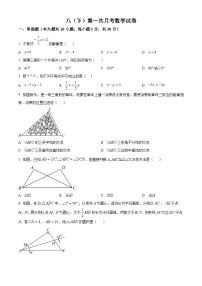 山东省青岛市崂山区崂山区实验学校2023-2024学年八年级下学期3月月考数学试题（原卷版+解析版）