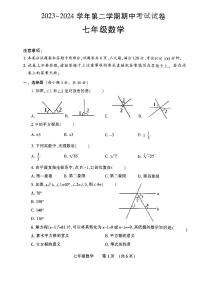 河南省濮阳市2023—-2024学年七年级下学期4月期中数学试题