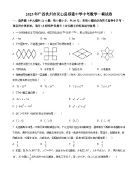 2023年广西钦州市灵山县那隆中学九年级中考数学一模模拟试题（原卷版+解析版）