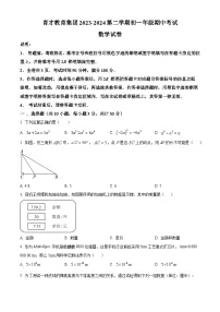 广东省深圳育才教育集团2023-2024学年七年级下学期期中数学试题（原卷版+解析版）