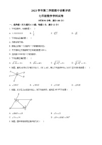 上海市金山区2024年七年级下学期期中数学试题（原卷版+解析版）