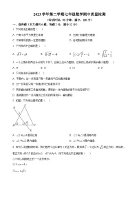 上海市浦东新区2023-2024学年七年级下学期期中数学试题（原卷版+解析版）