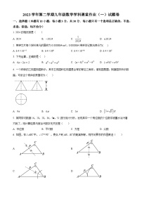 浙江省绍兴市柯桥区柯桥区秋瑾中学2023-2024学年九年级下学期4月月考数学试题（原卷版+解析版）