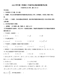 2024年上海市闵行区中考二模数学试卷含详解