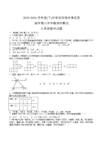 河南省信阳市淮滨县2024届九年级下学期开学学情调研测试数学试卷(含答案)