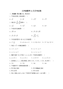 四川省眉山市仁寿县2024届九年级上学期11月月考数学试卷(含解析)