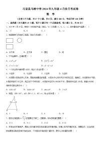 云南省昭通市巧家县马树中学2023-2024学年九年级下册4月月考数学试题（含解析）