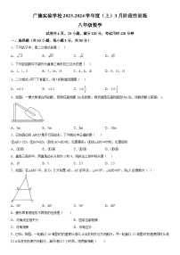 广东省江门市广德实验学校2023-2024学年八年级下册月考数学试题（含解析）